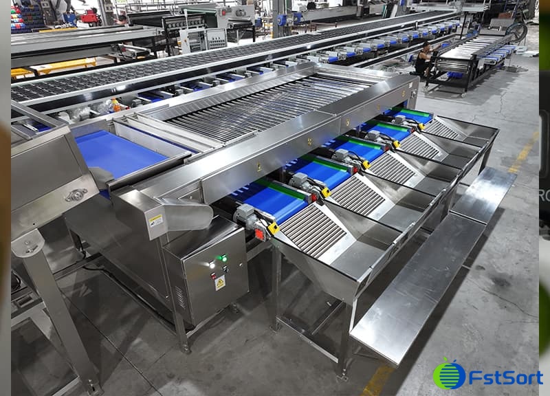 images/1733814727598fruit size grader.jpg